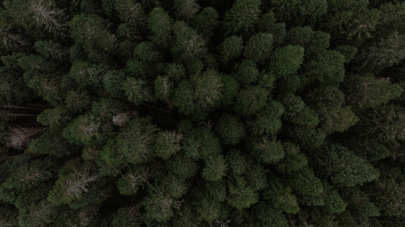 Document search functionality implementation for documentation sites